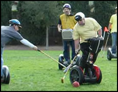 Segway Polo!